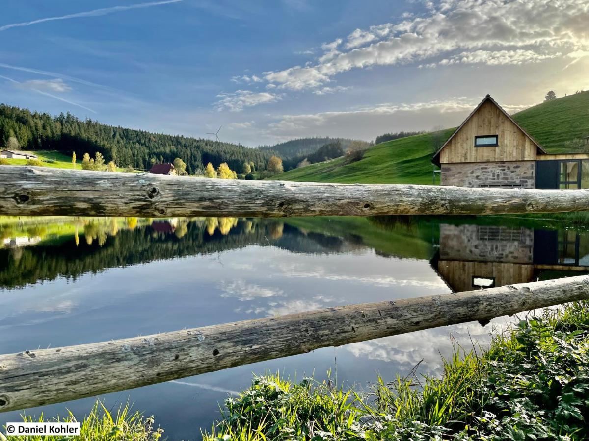 فيلا Ferienhaus Im Schwarzwald Am See "Backhaeusle" هورنبرغ المظهر الخارجي الصورة