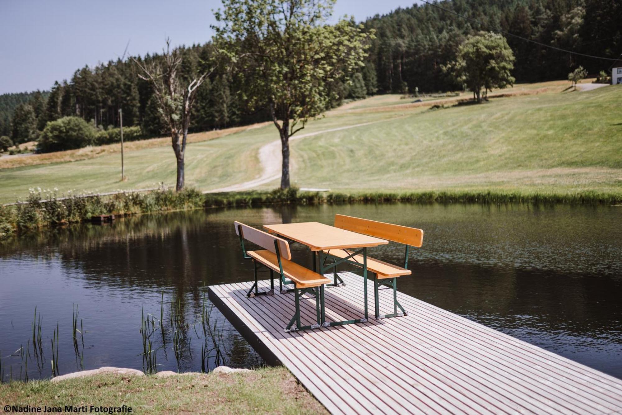 فيلا Ferienhaus Im Schwarzwald Am See "Backhaeusle" هورنبرغ المظهر الخارجي الصورة