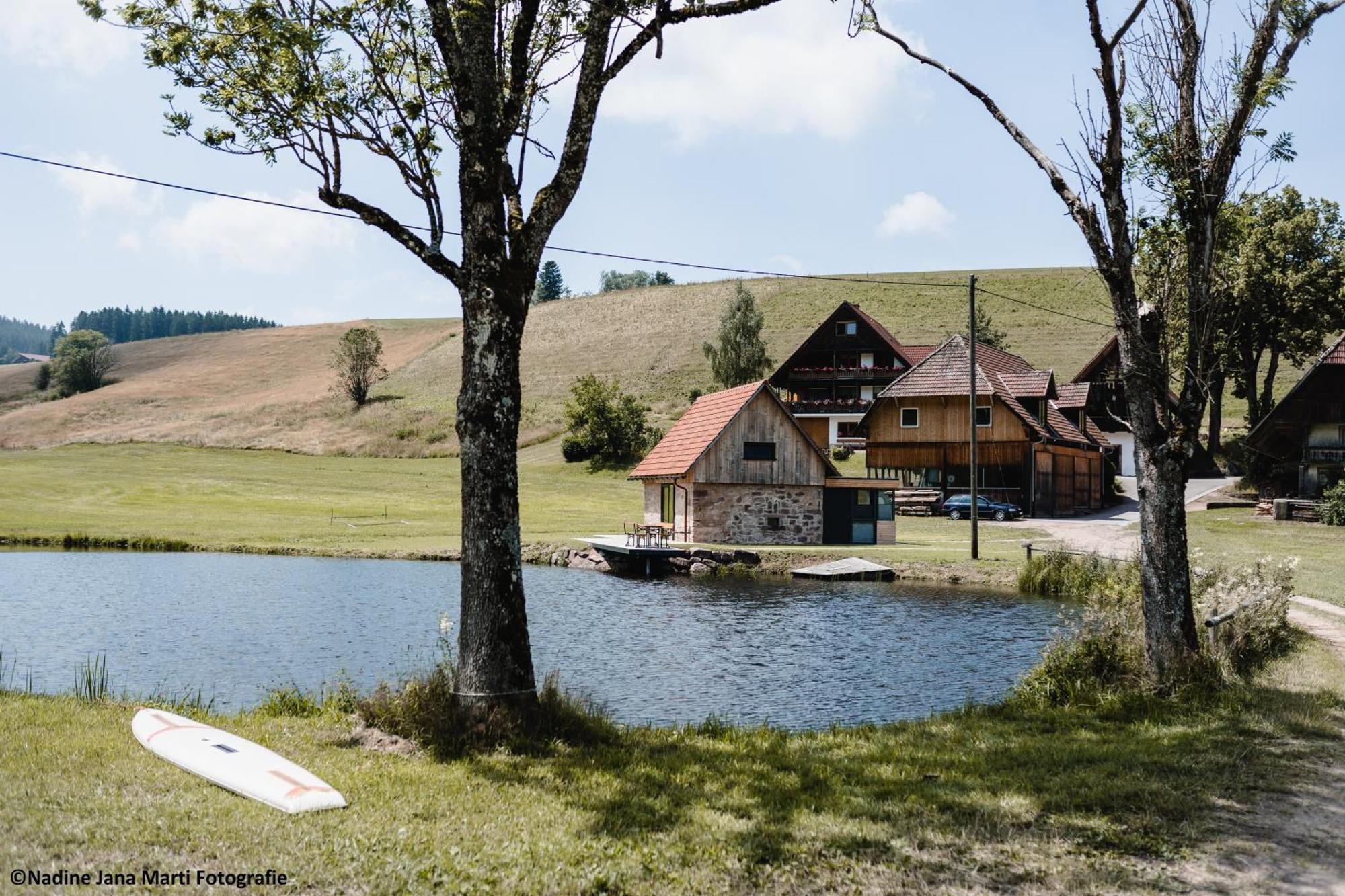 فيلا Ferienhaus Im Schwarzwald Am See "Backhaeusle" هورنبرغ المظهر الخارجي الصورة